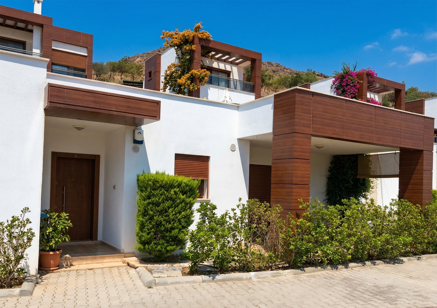 1 Numaralı Villa (3+1)